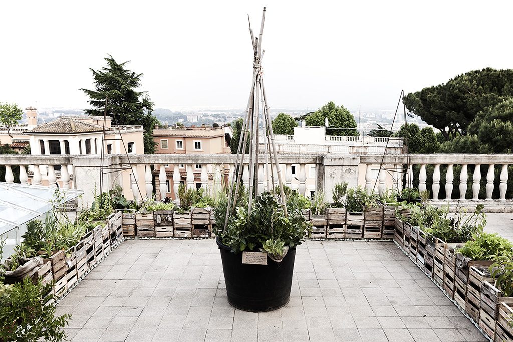 Fritz Haeg, FAAR'11 Looks Back at a Year in Rome Fritz Haeg, FAAR'11 Looks Back at a Year in Rome