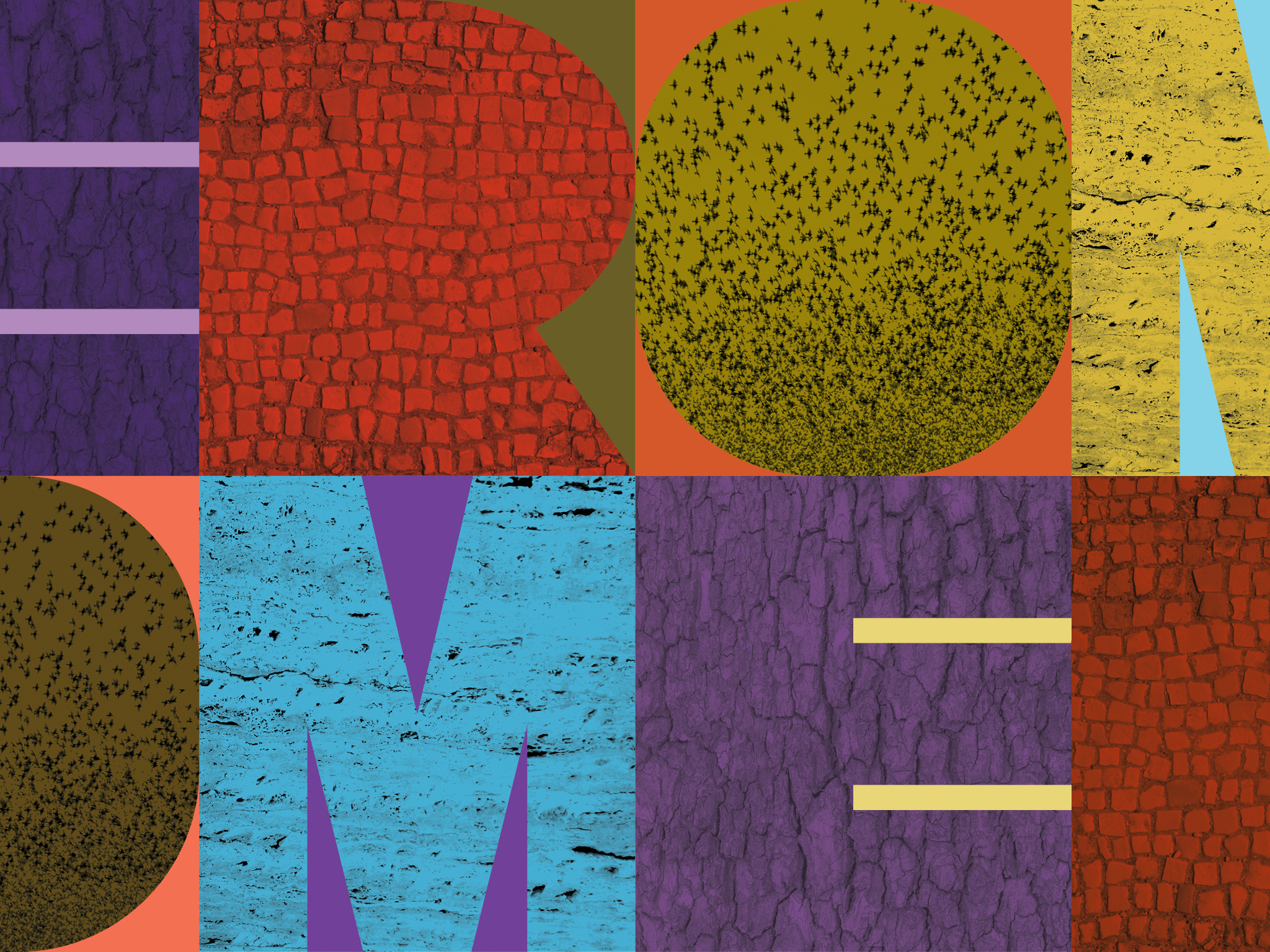 Graphically designed element with two rows of wide, colorful letters spelling ROME as EROM and OMER; in the space of the letters are photos of pine tree bark, street paving stones, a murmuration of starlings, and a sheet of travertine