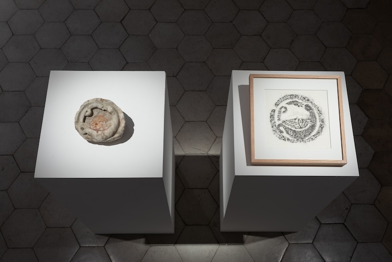 Two objects on pedestals in a gallery