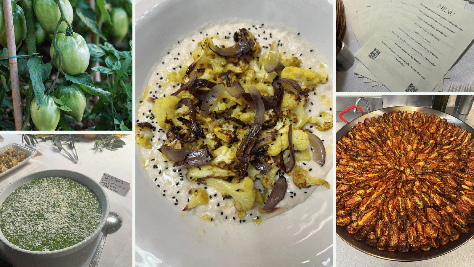 Collage of five photographs depicting cooked vegetable meals on white plates