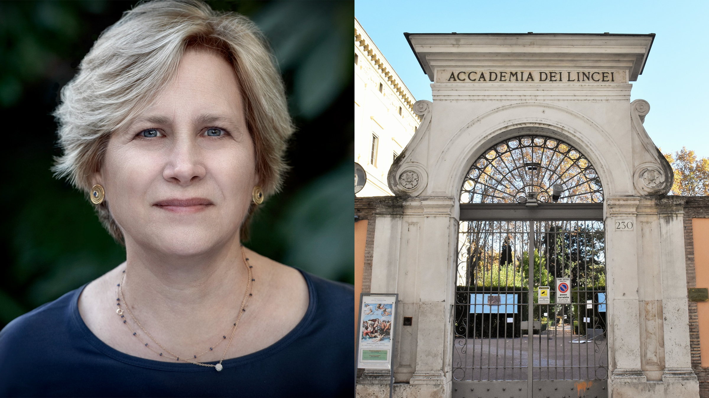 Photo of a woman at left, a gate at right