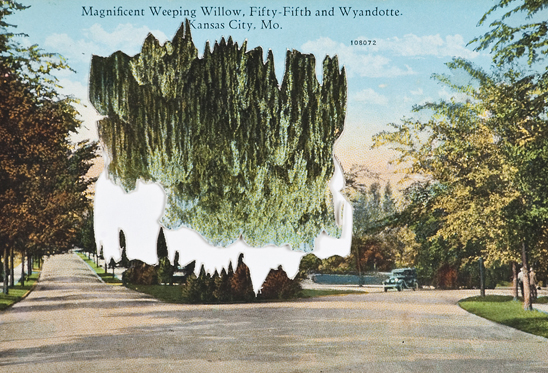 Bright Lights Shine for the Arts in Rome During Four Days in December Bright Lights Shine for the Arts in Rome During Four Days in December