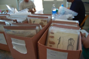 Looking Back at the 2010 AAR Summer Program in Roman Pottery
