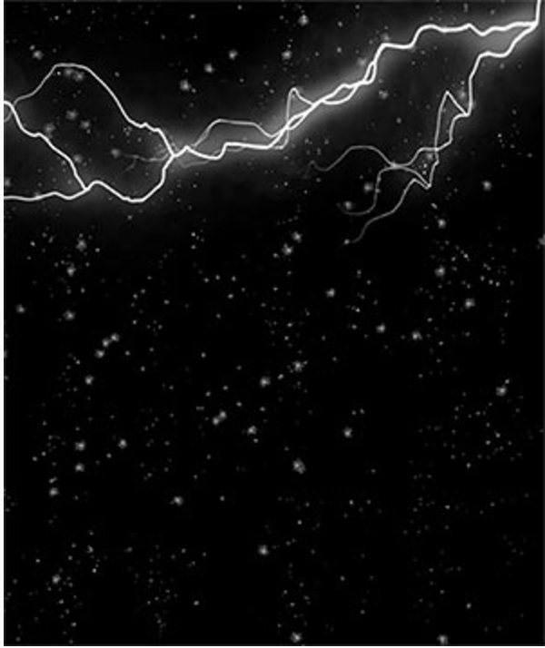 2002 Fellow Shimon Attie