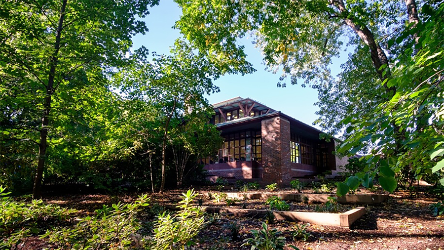 Color photo of a low rise modern building in a leafy forest