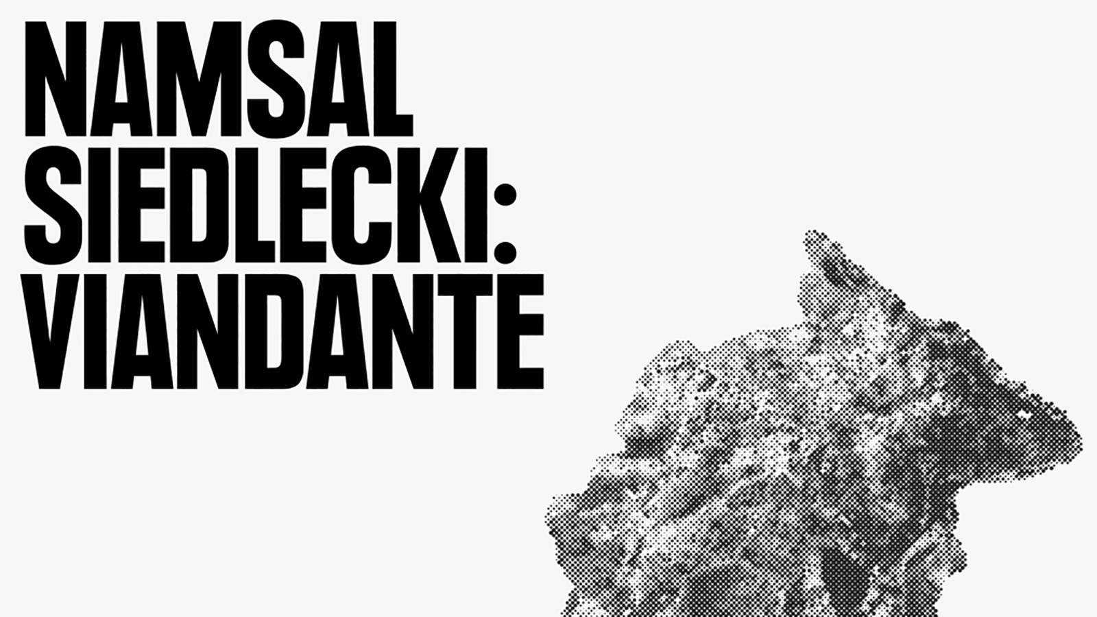 Black and white exhibition flyer with the words &quot;Namsal Siedlecki Viandante&quot; in all caps at upper left and a bronze cacoon-like artwork at lower right