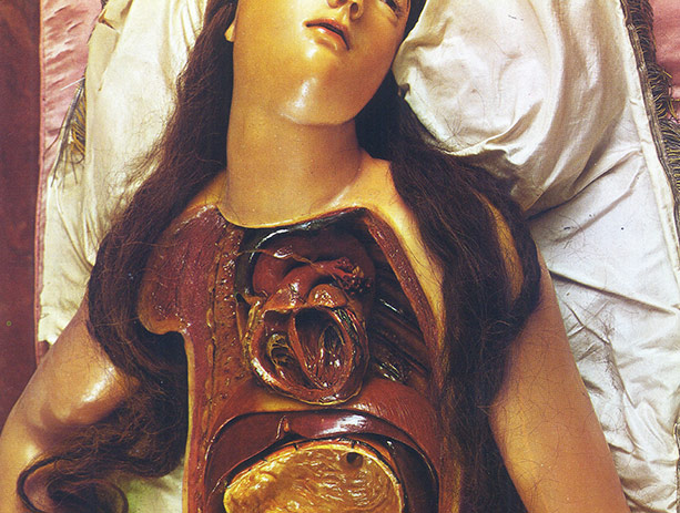 SOF Events December 2013