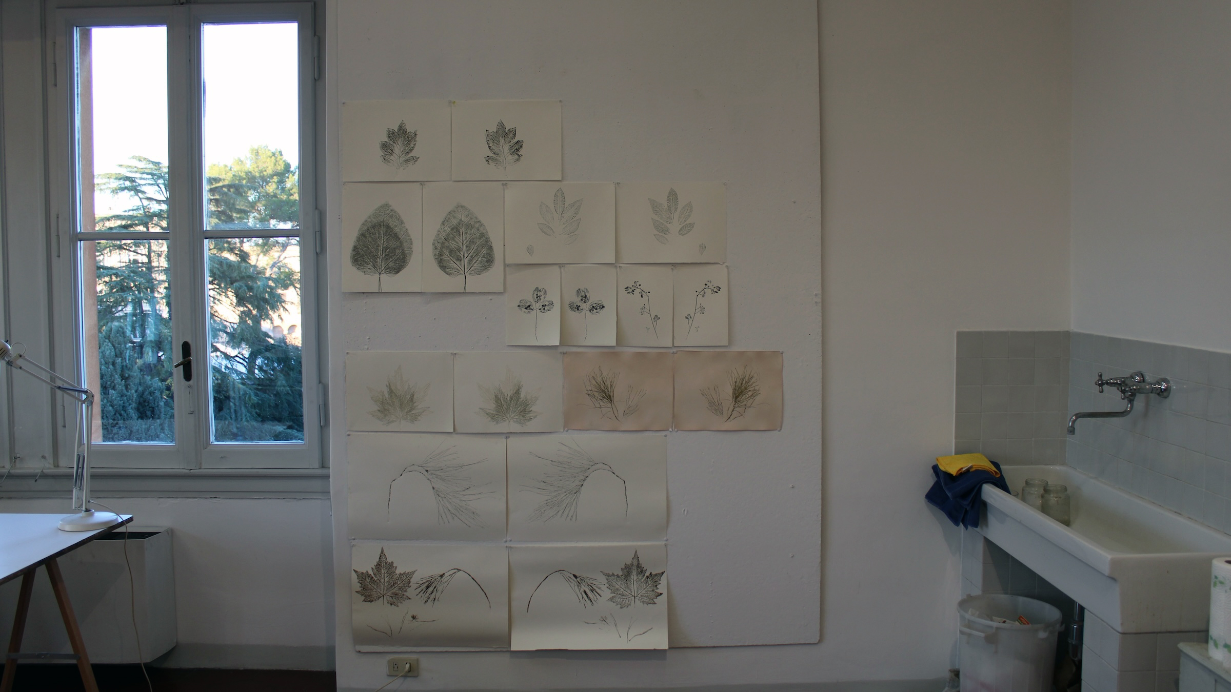 color photo of botanical art on a studio wall and a window