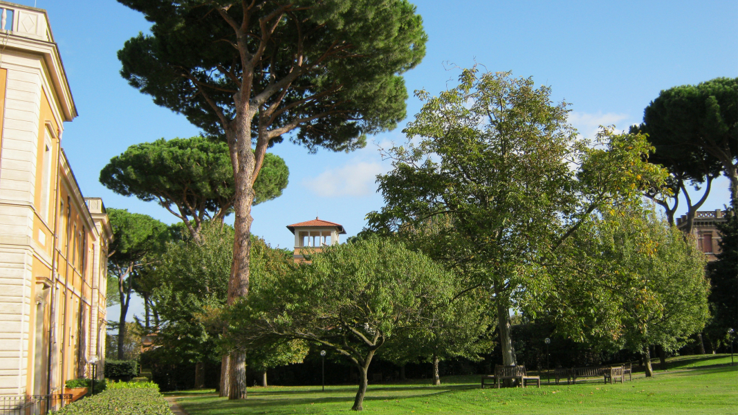 Mission of the Garden Color photograph of a garden on a Roman estate with umbrella pines and other trees behind a grassy lawn